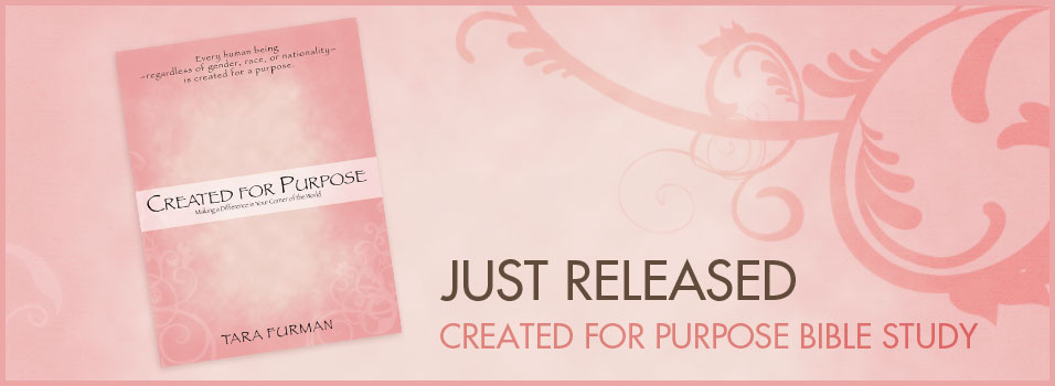 Just Released: Created for Purpose Bible Study